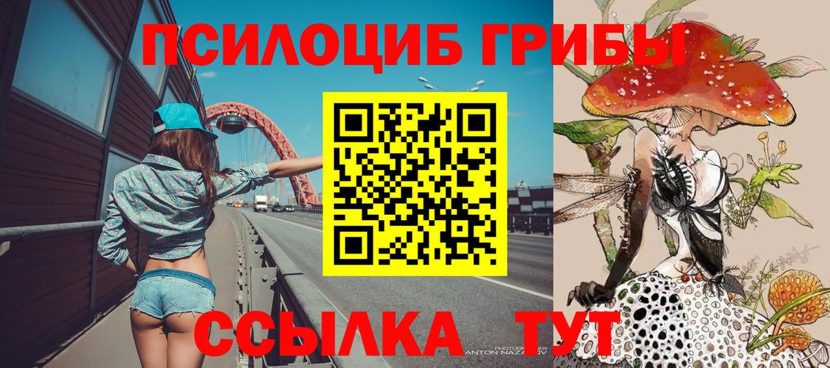 Псилоцибиновые грибы Psilocybe Артём